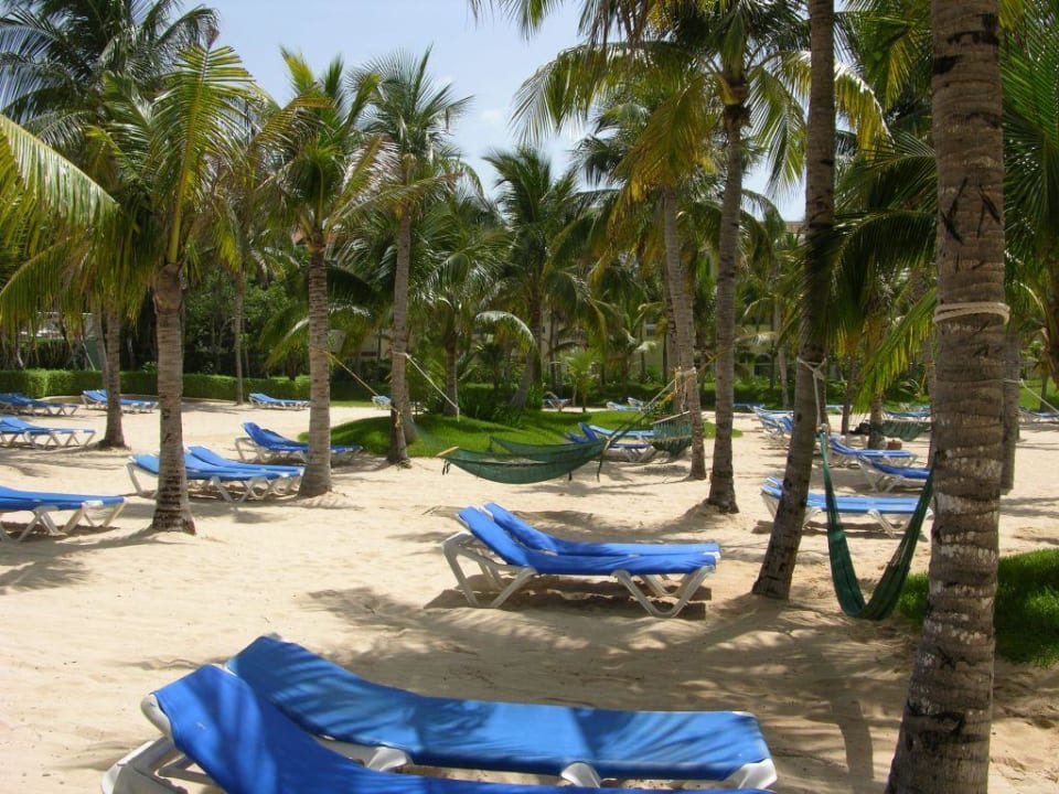 Immer ein Platz frei Hotel Riu Palace Mexico