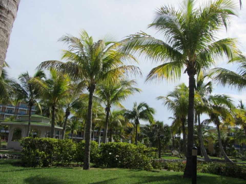 Gartenanlage Melia Las Antillas - Adults only