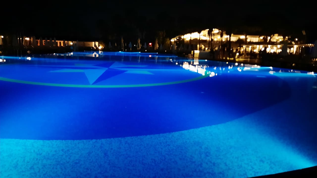 Pool Papillon Belvil