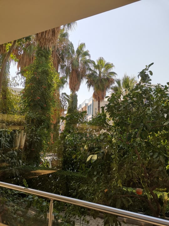 Gartenanlage Trendy Side Beach Hotel - Adults only