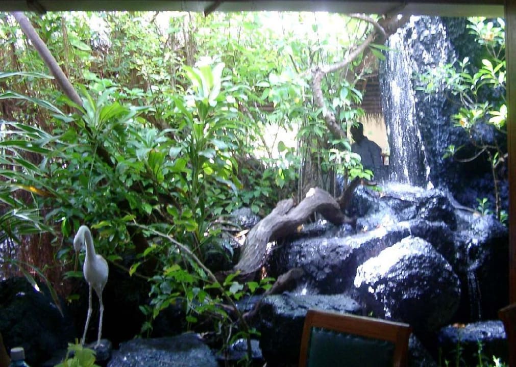 Wasserfall Summer Island Maldives