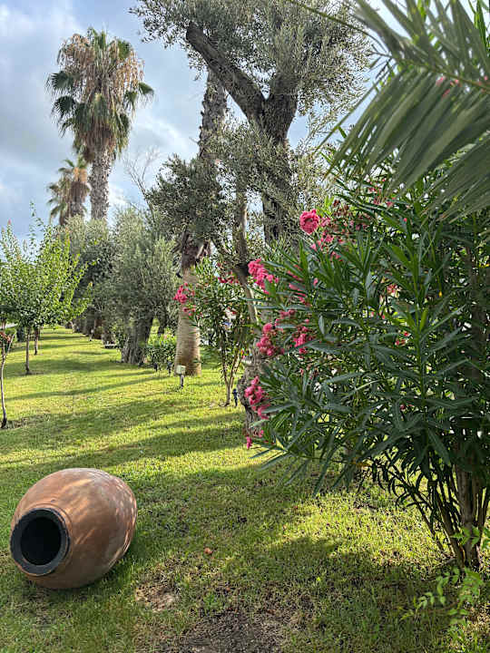 Außenansicht Dream Water World