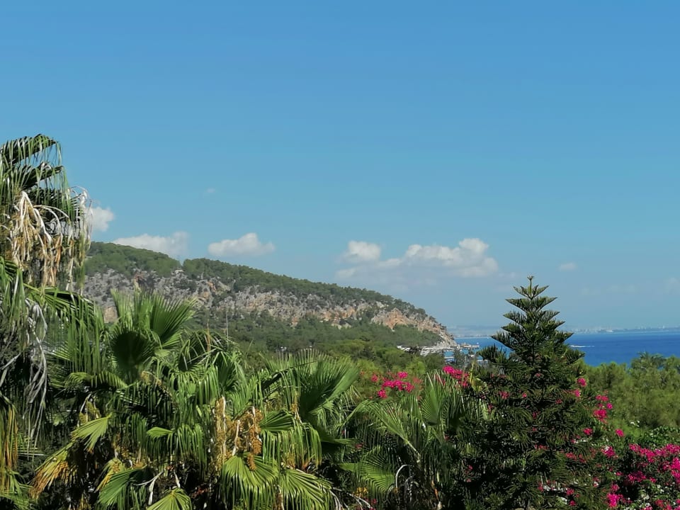 Ausblick TUI MAGIC LIFE Beldibi +16