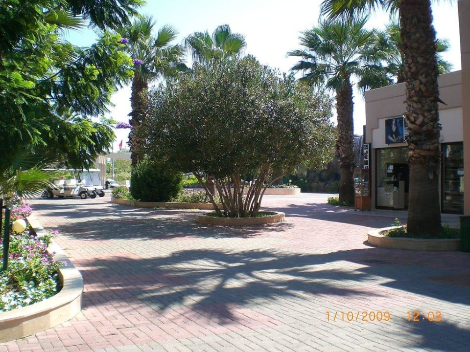 Hier geht´s zu der Rezeption VONRESORT Golden Beach