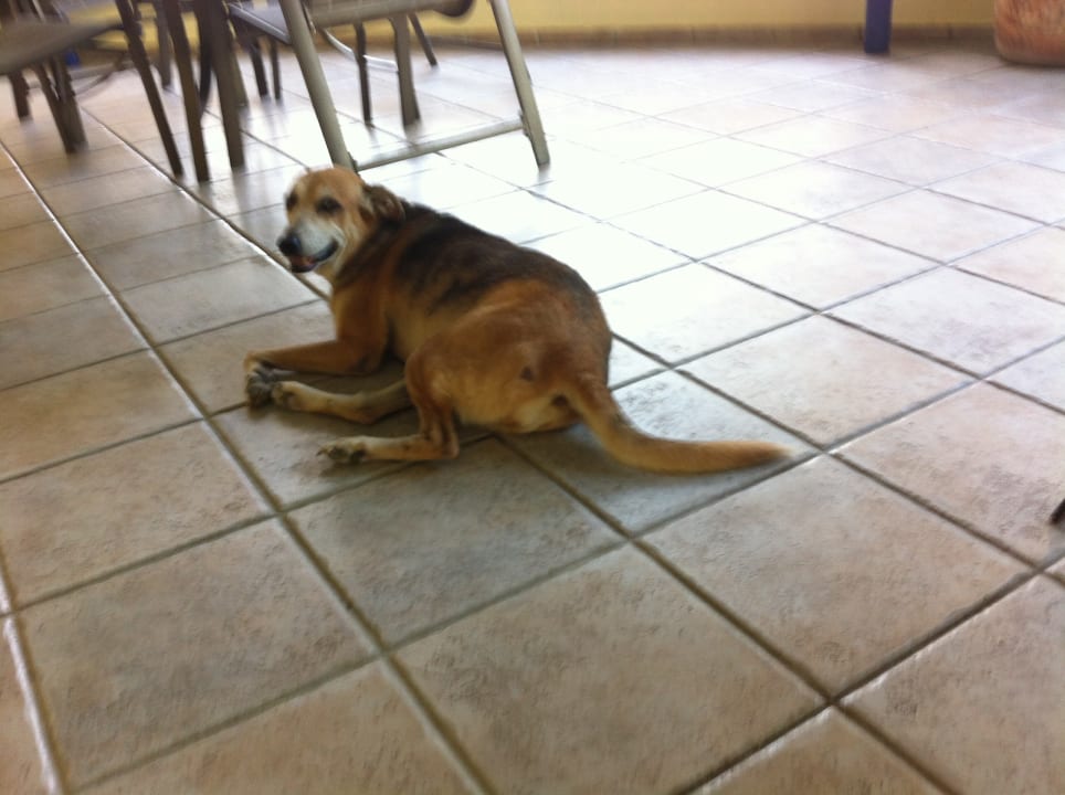 Restaurant Hotel Kaoba