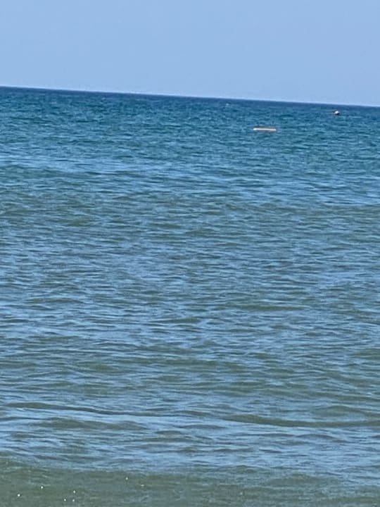 Strand Paloma Oceana