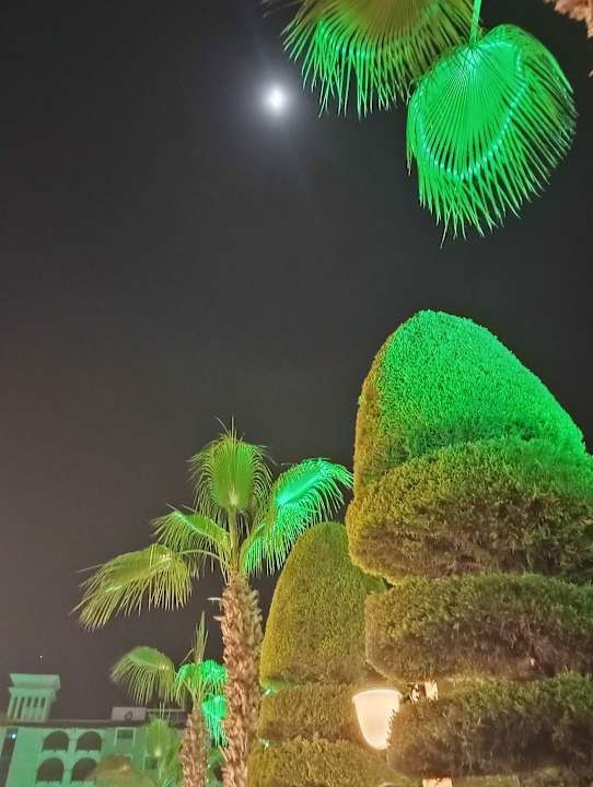 Gartenanlage Dizalya Palm Garden