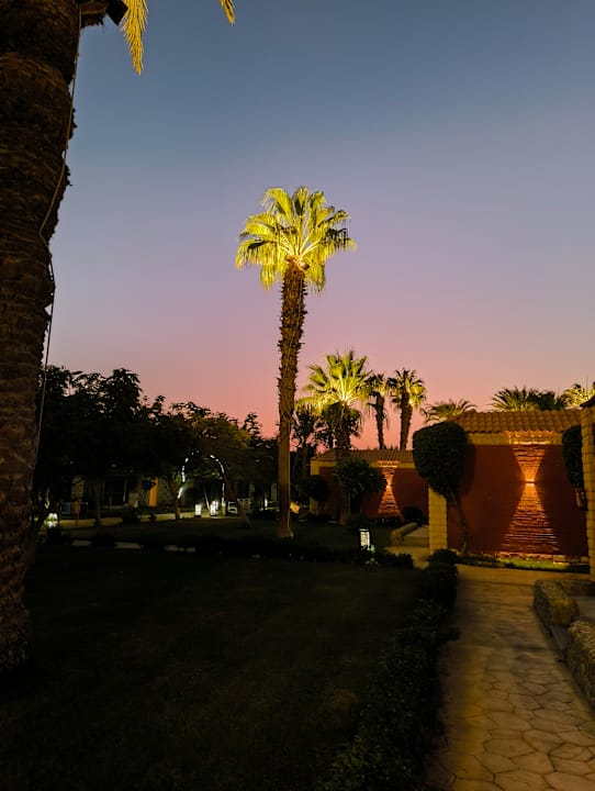 Außenansicht Aladdin Beach Resort