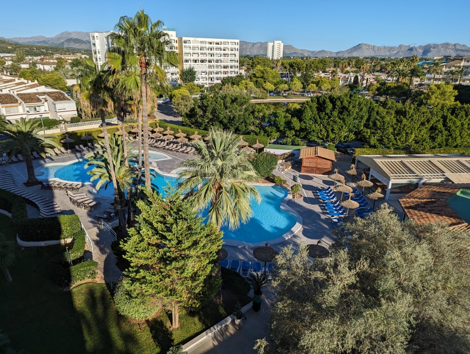 Pool Aparthotel Alcudia Beach
