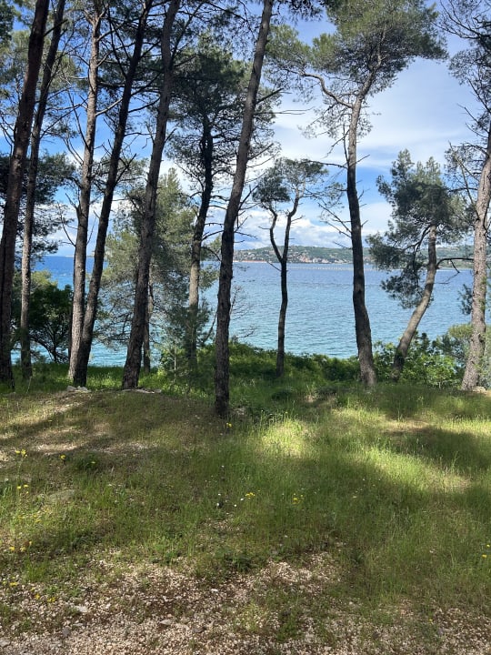 Gartenanlage Apartments Kanegra Plava Laguna