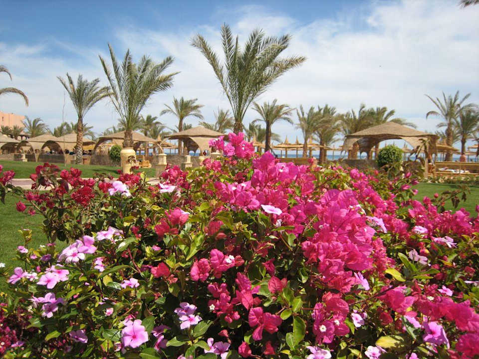 Jardins Pickalbatros Palace Resort