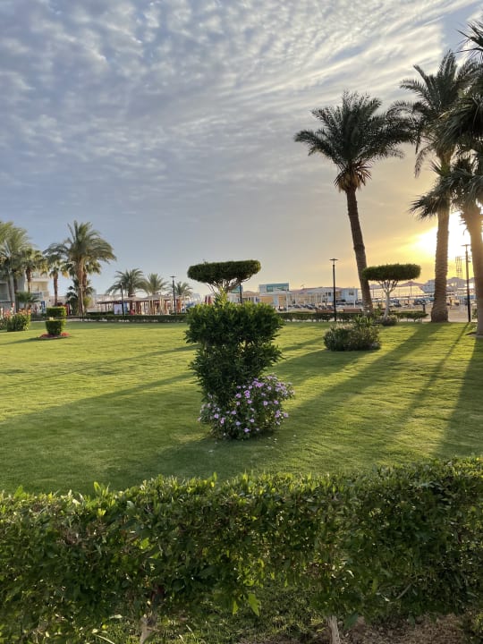 Gartenanlage Amarina Abu Soma Resort & Aquapark