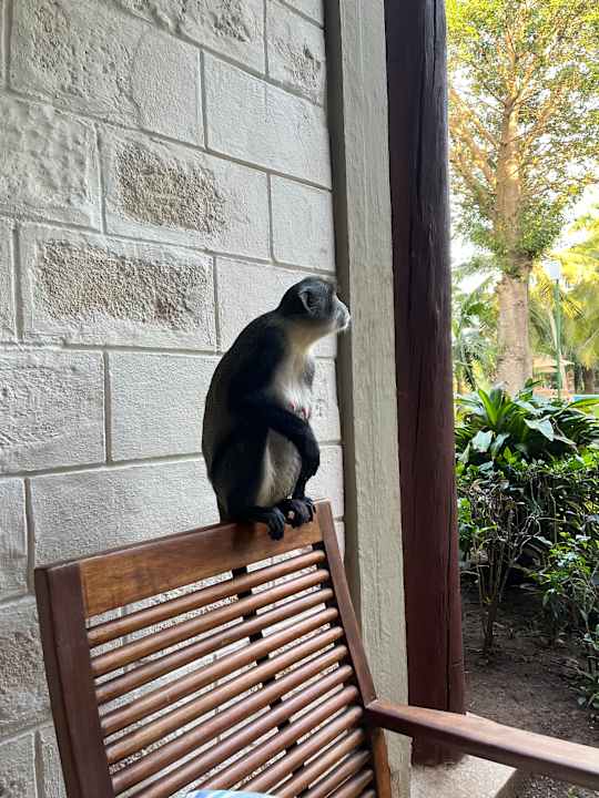 Gartenanlage Baobab Beach Resort & Spa