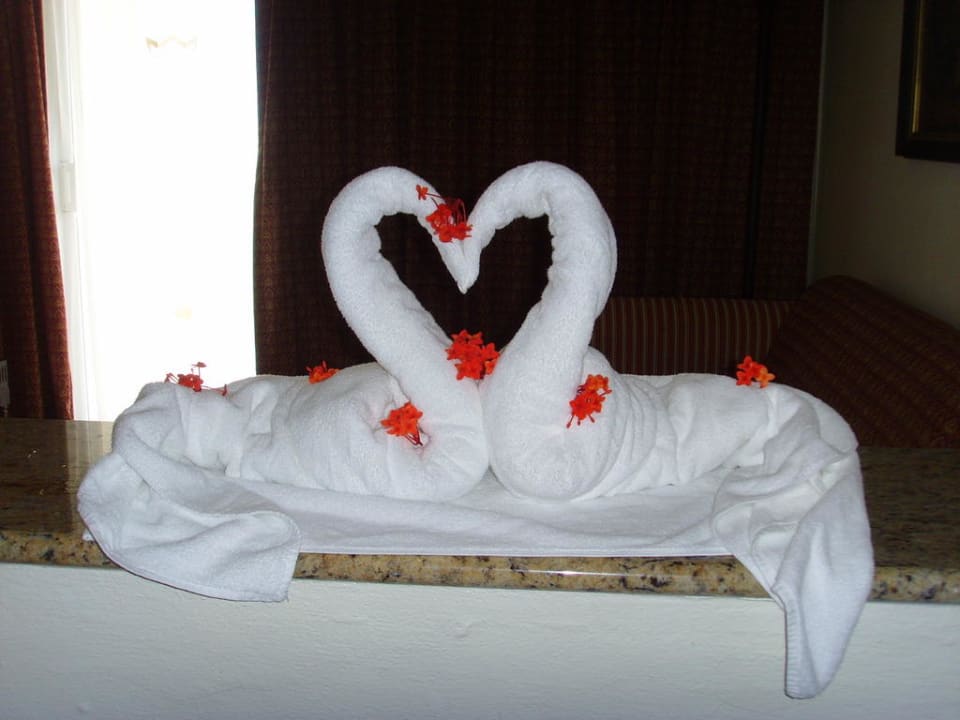 Towel Decoration Hotel Riu Palace Aruba
