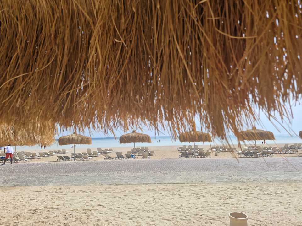 Sonstiges JAZ Elite Asteria