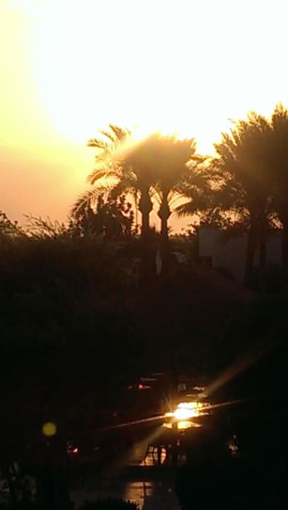 Ausblick aus Junior-Suite Ghazala Gardens