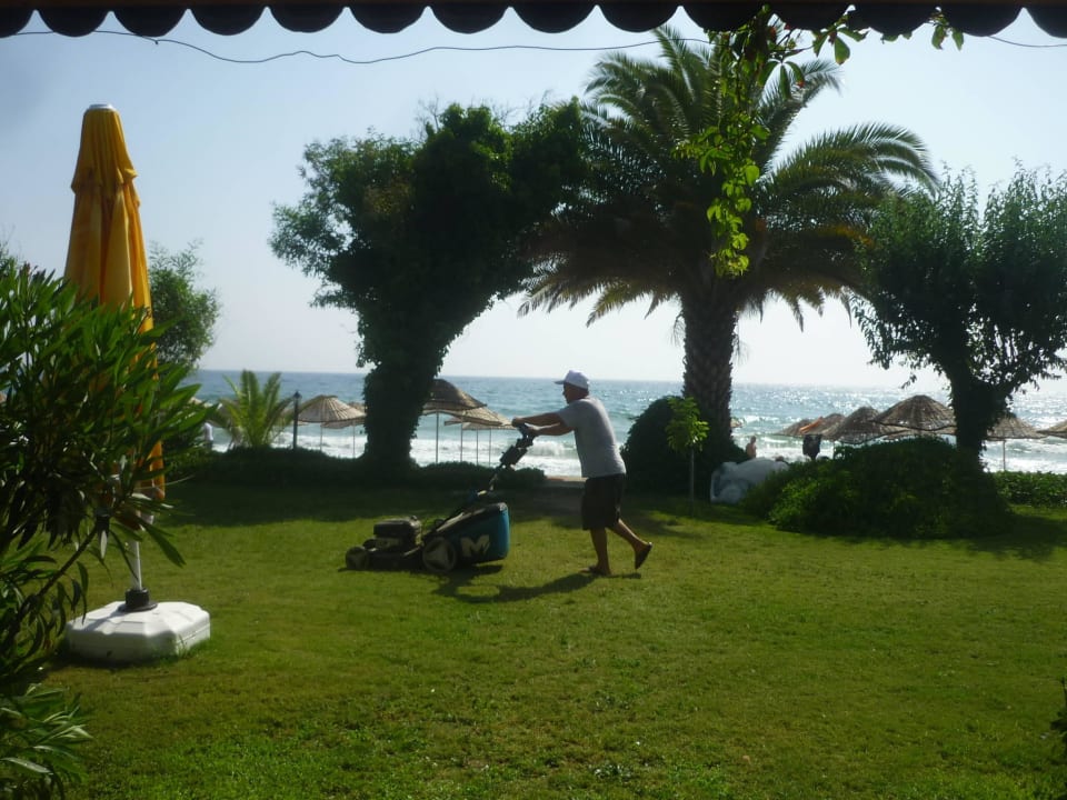 Am Restaurant Dogan Paradise Beach