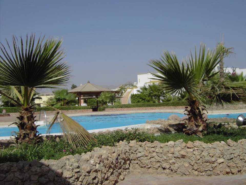 Pool The Regnum Halomy Hotel