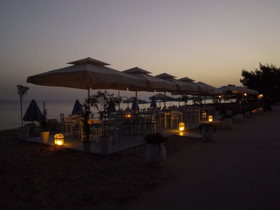 Die Gäste können kommen! Xenios Zeus