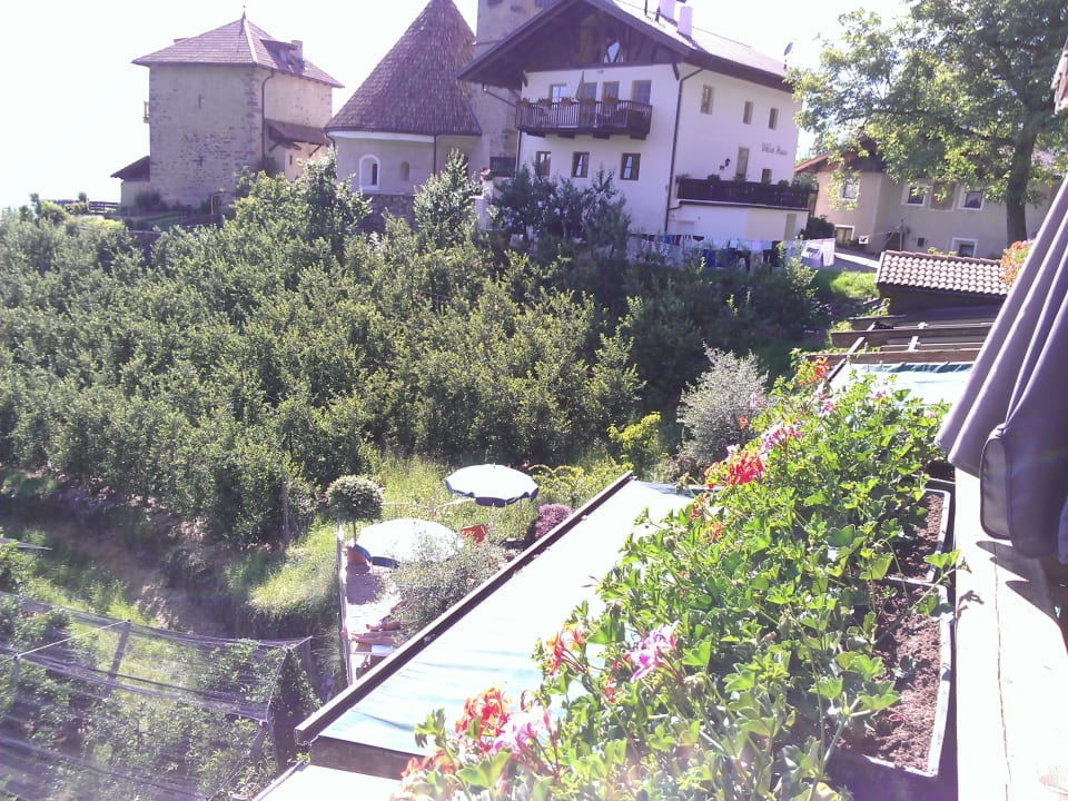Südbalkon, toller Ausblick Hotel Moserhof
