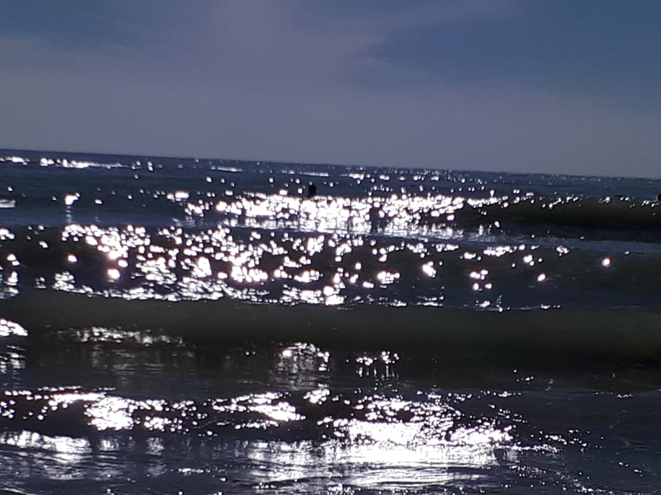 Strand Paloma Oceana
