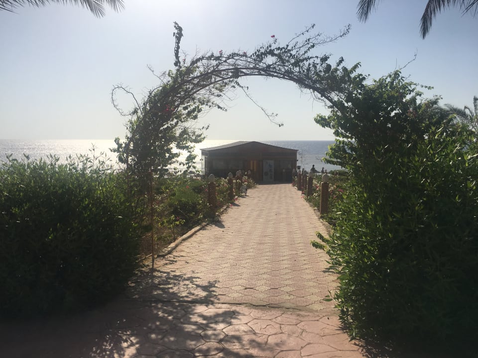 Gartenanlage Fantazia Resort Marsa Alam