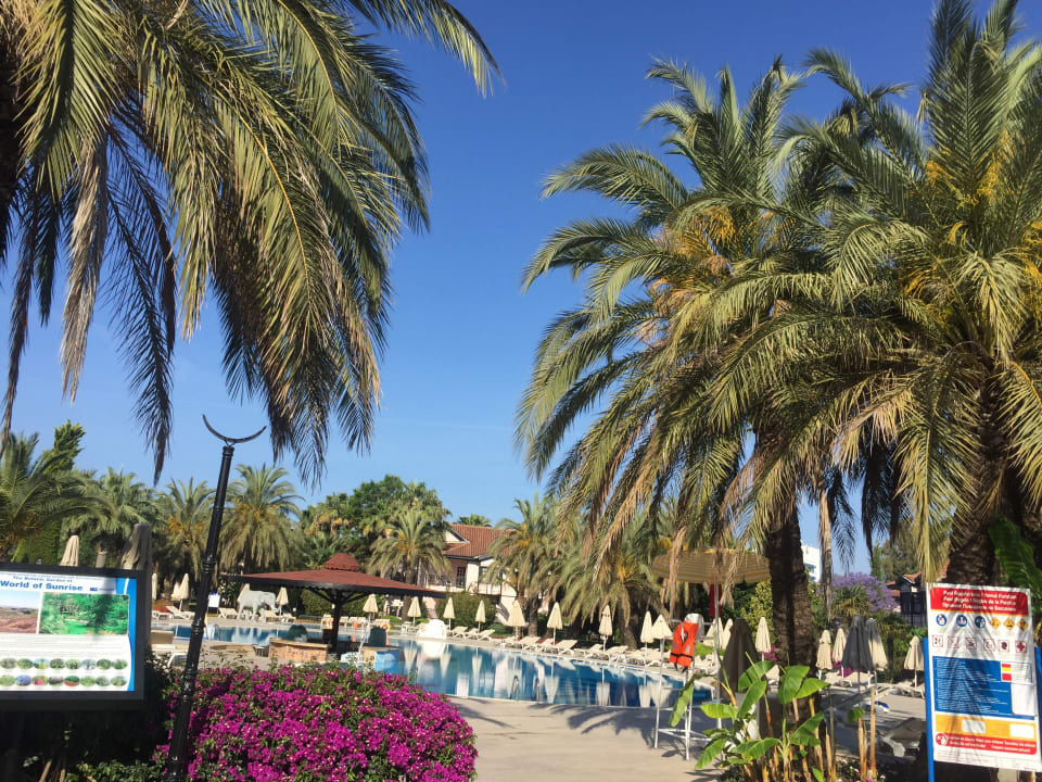 Pool Starlight Resort Hotel