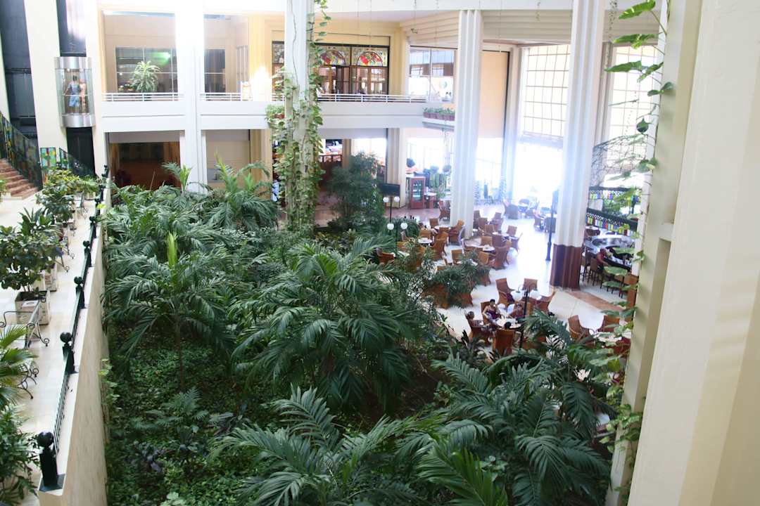 Eine grüne Oase Blau varadero - Adults only