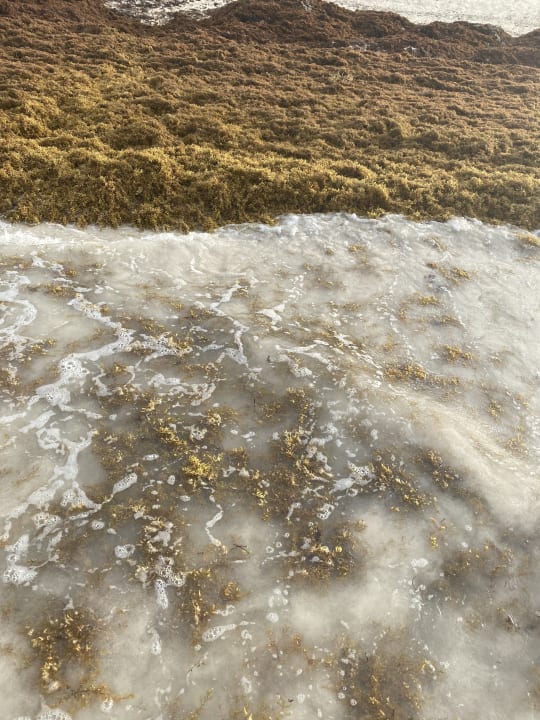 Strand Hotel Riu Palace Punta Cana