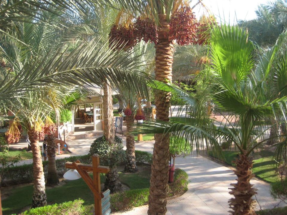 Sehr gepflegt TUI MAGIC LIFE Redsina Sharm El Sheikh