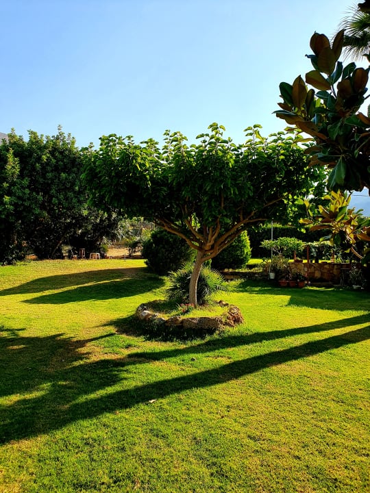 Gartenanlage Hotel Paloma Garden