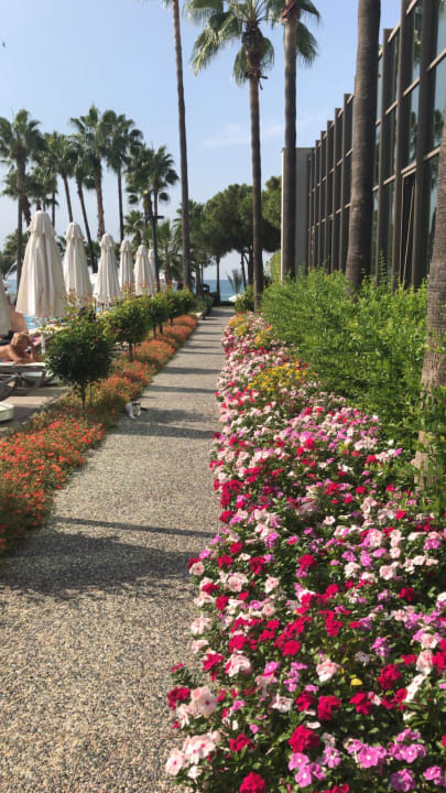 Gartenanlage Acanthus Cennet Barut Collection