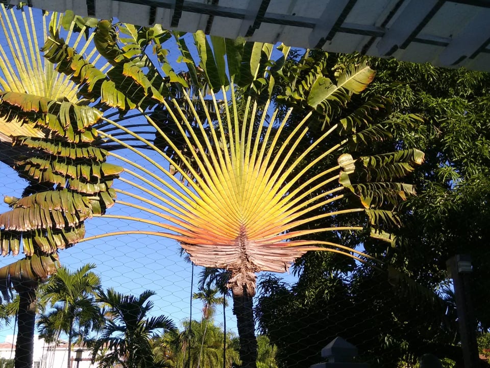 XI.2016 Marien Puerto Plata