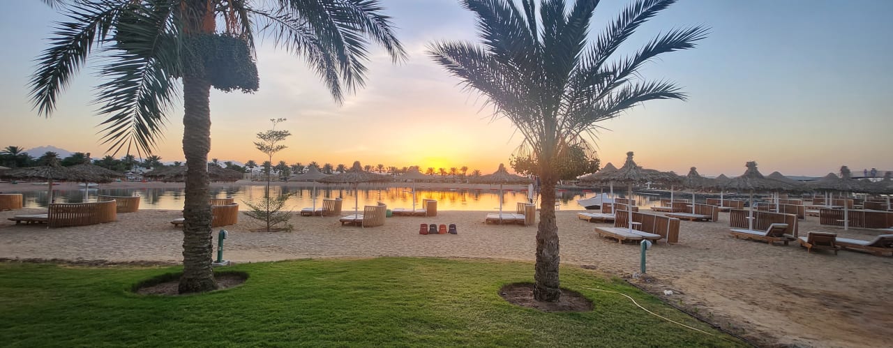 Ausblick Desert Rose