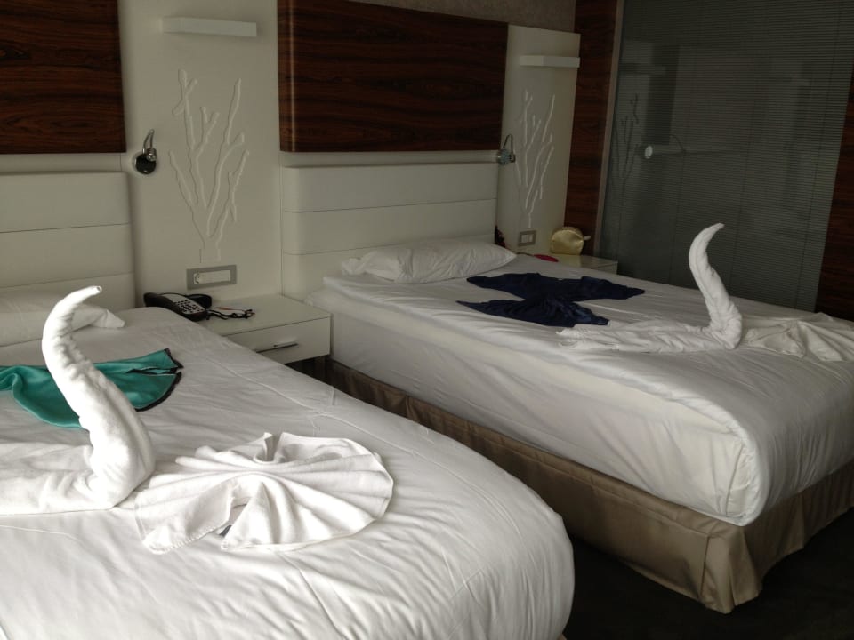 Aufmerksamkeit vom Housekeeping Gold Island Selected