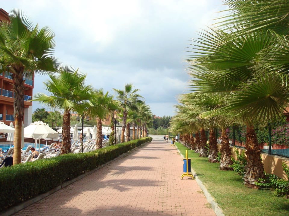 Дорожка между корпусами Club Side Coast