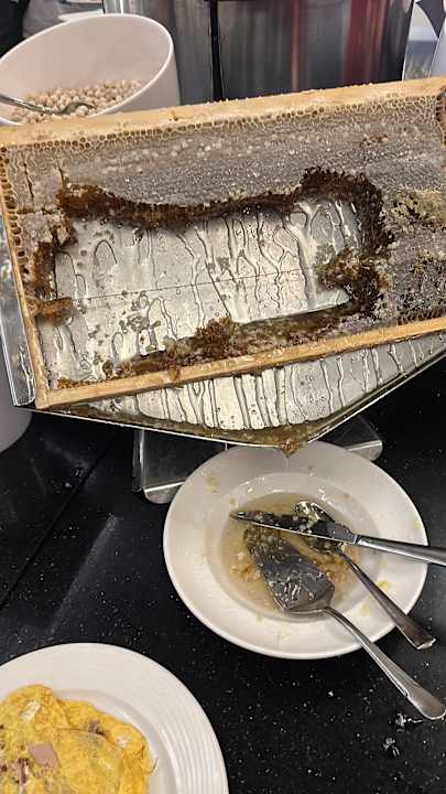 Gastro Gold Island Mondo