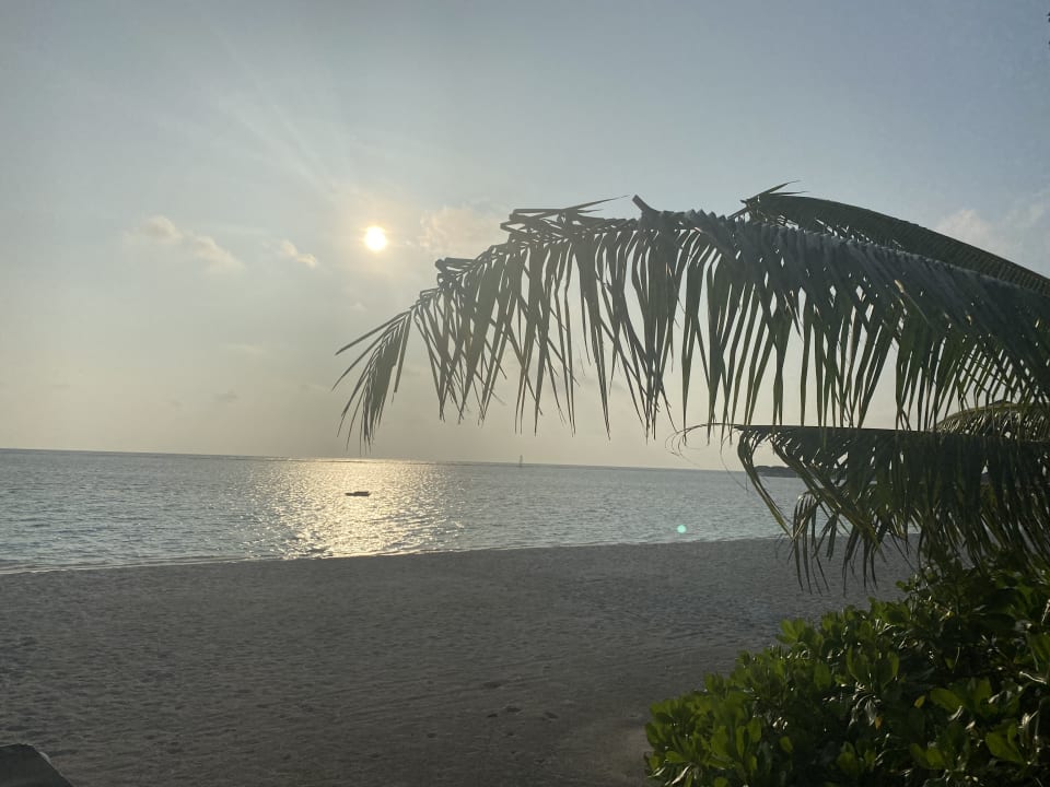 Außenansicht Meeru Maldives Resort Island