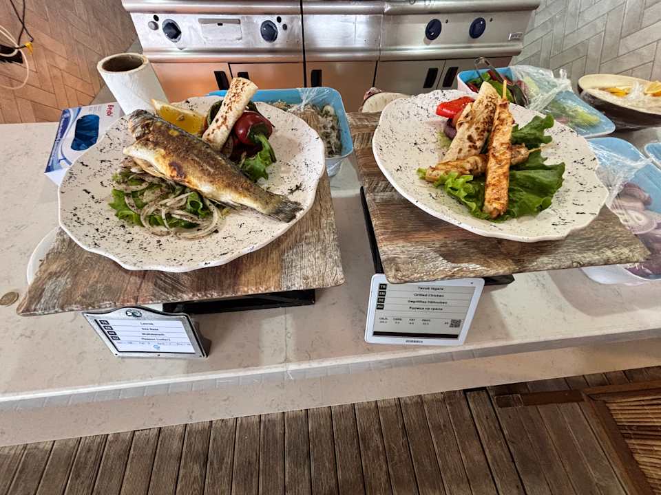 Gastro Seashell Vega