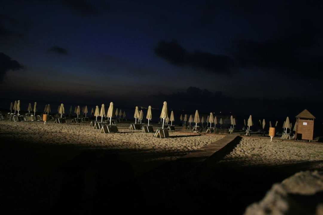 Hotel beach Hotel Horizon Beach Resort