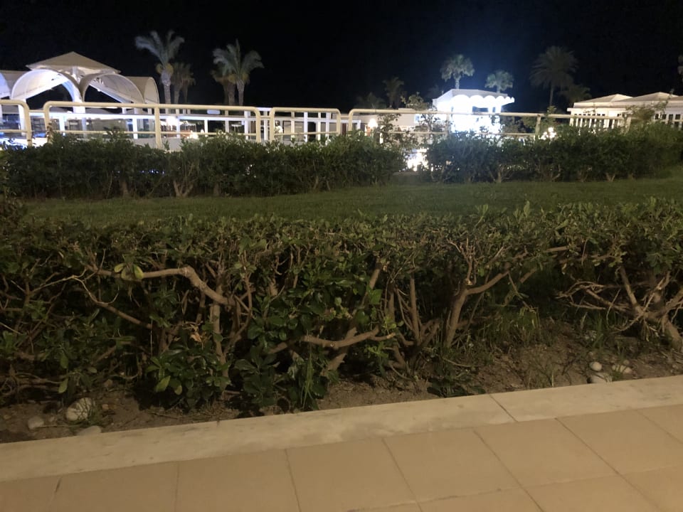 Ausblick Rodos Palladium Leisure & Wellness