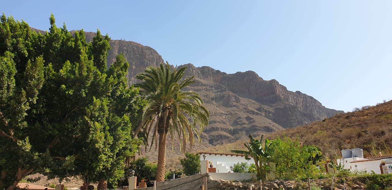 Ausblick Bio Finca - Las Tenerías