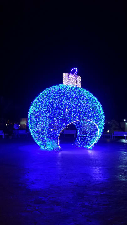 Sonstiges Desert Rose