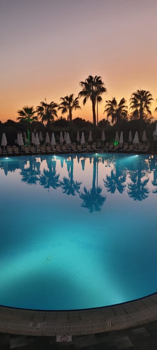 Pool Alba Resort Hotel