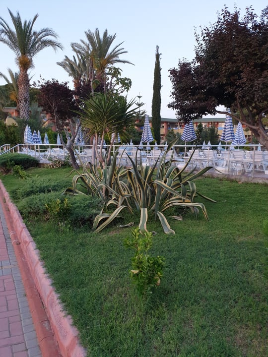 Gartenanlage Lonicera Resort & Spa Hotel
