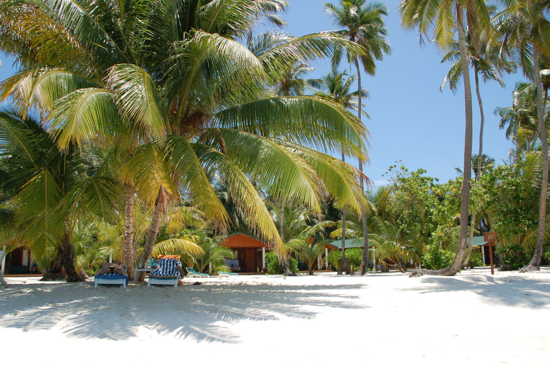 Blick vom Meer auf unsere Villa Meeru Maldives Resort Island