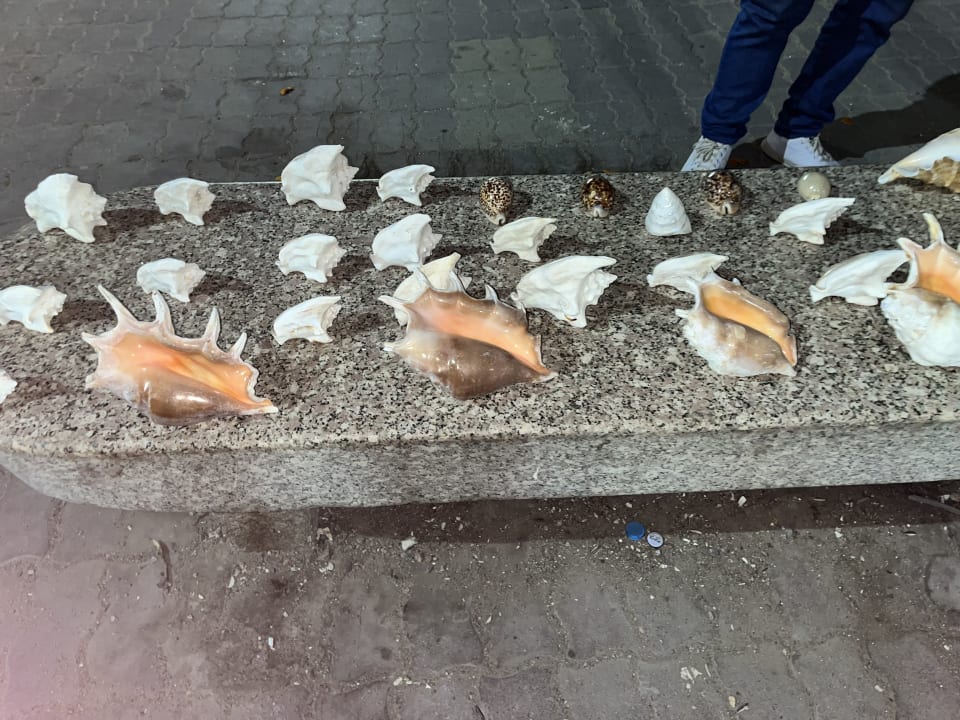 Sonstiges Pickalbatros White Beach Resort - Hurghada