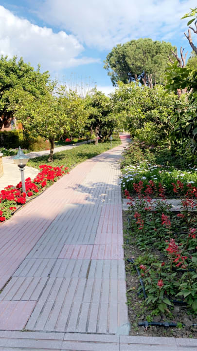 Gartenanlage Can Garden Beach