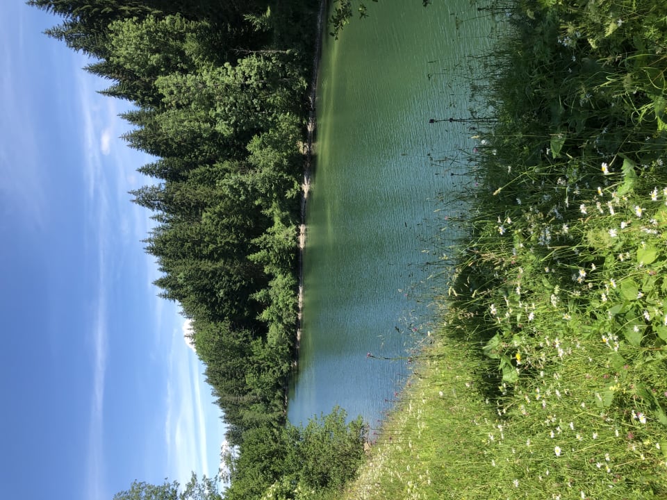 Ausblick Wohlfühlhotel Frohsinn