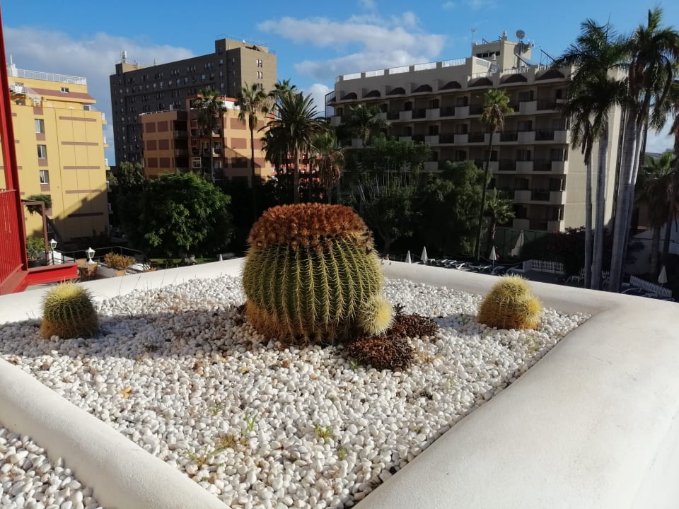 Sonstiges Be Live Tenerife - Adults only